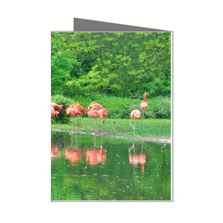 Flamingo Birds at lake Mini Greeting Card (8 Pack)