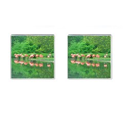 Flamingo Birds At Lake Cufflinks (square) by yoursparklingshop