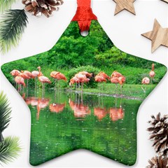 Flamingo Birds At Lake Star Ornament (two Sides) by yoursparklingshop