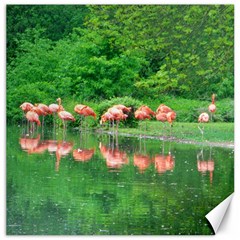 Flamingo Birds At Lake Canvas 12  X 12  (unframed)