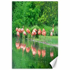 Flamingo Birds At Lake Canvas 12  X 18  (unframed)