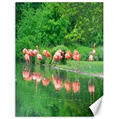 Flamingo Birds At Lake Canvas 18  X 24  (unframed)