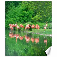 Flamingo Birds At Lake Canvas 20  X 24  (unframed)