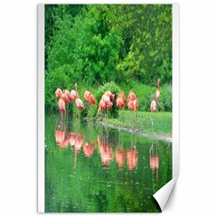 Flamingo Birds At Lake Canvas 20  X 30  (unframed)