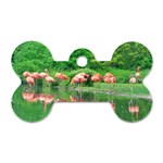 Flamingo Birds at lake Dog Tag Bone (One Sided) Front