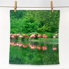 Flamingo Birds At Lake Face Towel