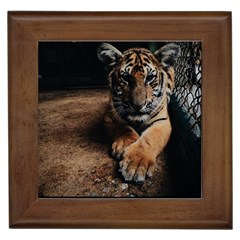 Photo  Framed Ceramic Tile