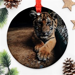 Photo  Round Ornament