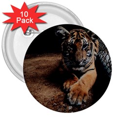 Photo  3  Button (10 Pack)