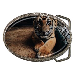 Photo  Belt Buckle (oval) by things9things