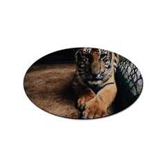 Photo  Sticker (oval) by things9things