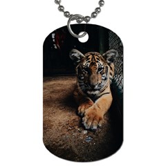 Photo  Dog Tag (one Sided)