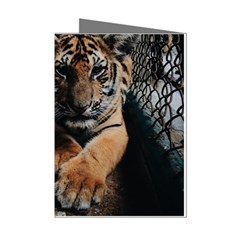 Photo  Mini Greeting Card (8 Pack)