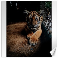 Photo  Canvas 20  X 20  (unframed)