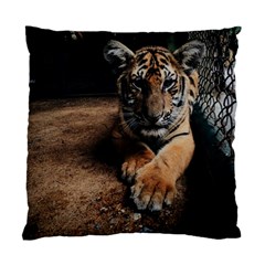 Photo  Cushion Case (single Sided) 