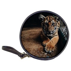 Photo  Cd Wallet by things9things