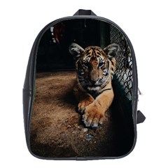 Photo  School Bag (large)