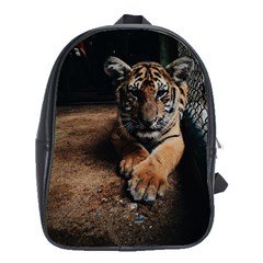 Photo  School Bag (xl)