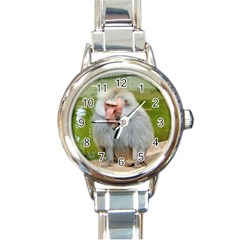 Grey Monkey Macaque Round Italian Charm Watch