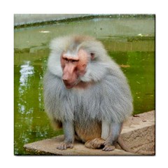 Grey Monkey Macaque Ceramic Tile