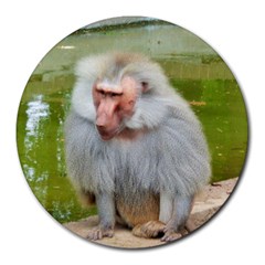 Grey Monkey Macaque 8  Mouse Pad (round)