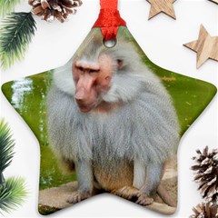 Grey Monkey Macaque Star Ornament