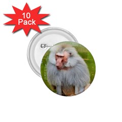 Grey Monkey Macaque 1 75  Button (10 Pack) by yoursparklingshop