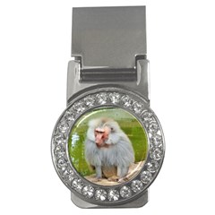 Grey Monkey Macaque Money Clip (cz) by yoursparklingshop