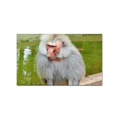 Grey Monkey Macaque Sticker (rectangle)