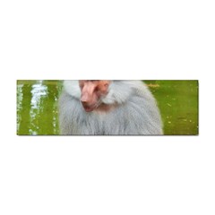 Grey Monkey Macaque Bumper Sticker