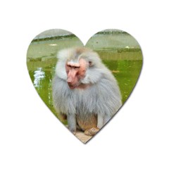 Grey Monkey Macaque Magnet (heart) by yoursparklingshop