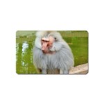 Grey Monkey Macaque Magnet (Name Card) Front