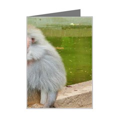 Grey Monkey Macaque Mini Greeting Card