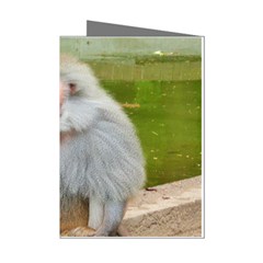 Grey Monkey Macaque Mini Greeting Card (8 Pack) by yoursparklingshop