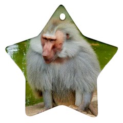 Grey Monkey Macaque Star Ornament (two Sides)