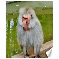 Grey Monkey Macaque Canvas 16  X 20  (unframed)