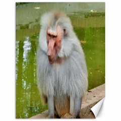 Grey Monkey Macaque Canvas 18  X 24  (unframed) by yoursparklingshop