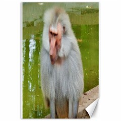 Grey Monkey Macaque Canvas 20  X 30  (unframed) by yoursparklingshop