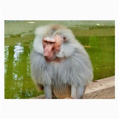 Grey Monkey Macaque Glasses Cloth (large, Two Sided)