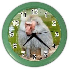 Grey Monkey Macaque Wall Clock (color)