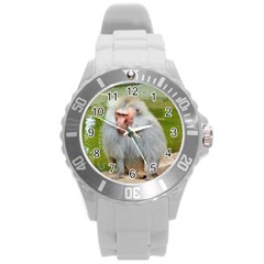 Grey Monkey Macaque Plastic Sport Watch (large)