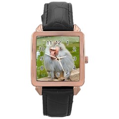 Grey Monkey Macaque Rose Gold Leather Watch 