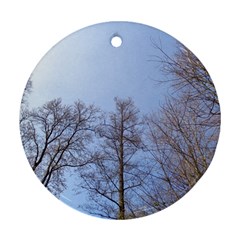 Large Trees In Sky Round Ornament