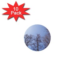 Large Trees In Sky 1  Mini Button (10 Pack)