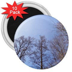 Large Trees In Sky 3  Button Magnet (10 Pack)