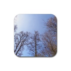 Large Trees In Sky Drink Coaster (square)