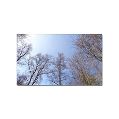 Large Trees In Sky Sticker (rectangle)