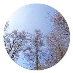 Large Trees In Sky Magnet 5  (round) by yoursparklingshop