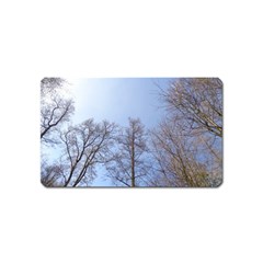 Large Trees In Sky Magnet (name Card)