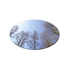 Large Trees In Sky Sticker 10 Pack (oval) by yoursparklingshop